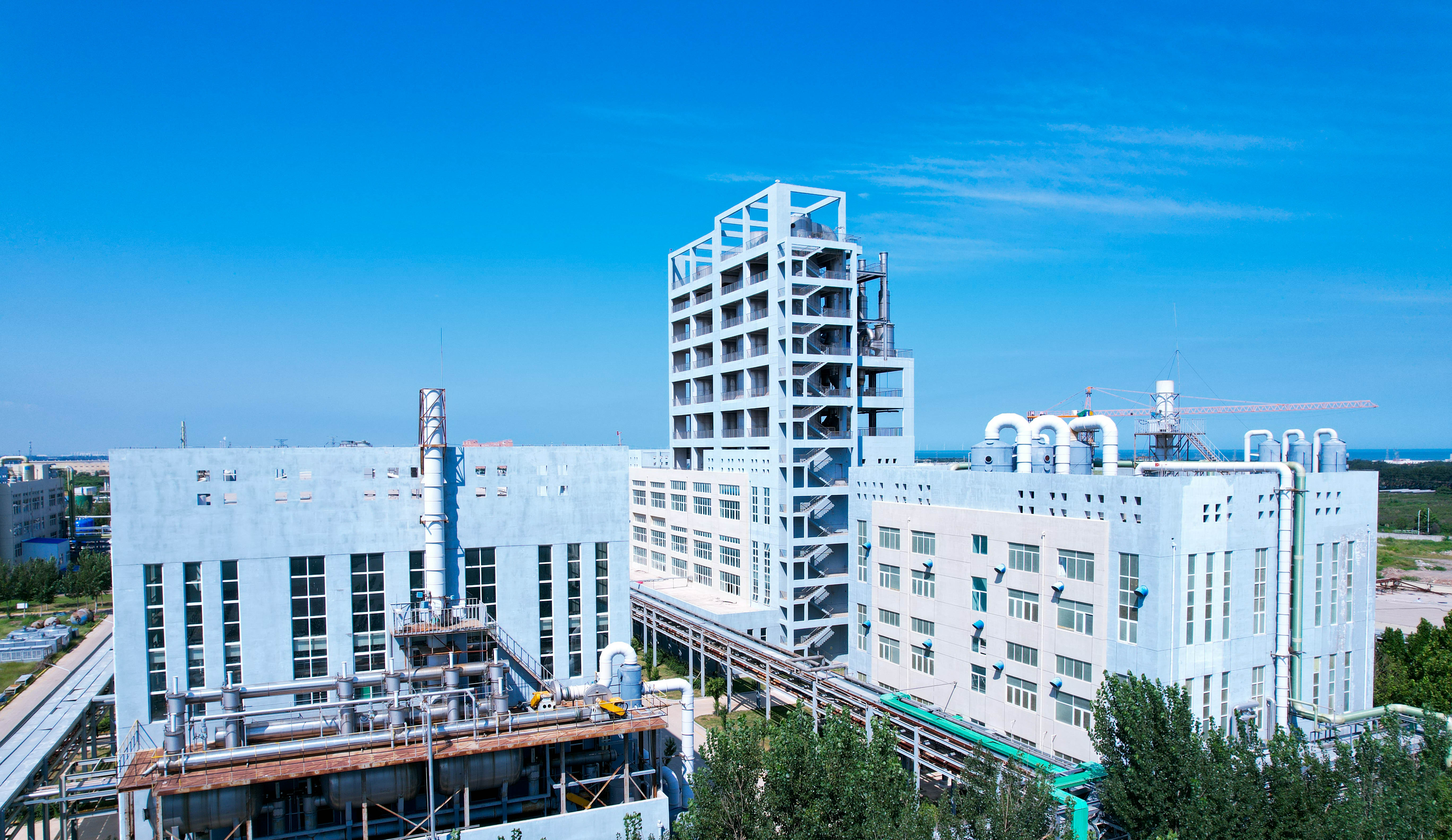 1731551397406079308.jpg IMG_1-5.jpg