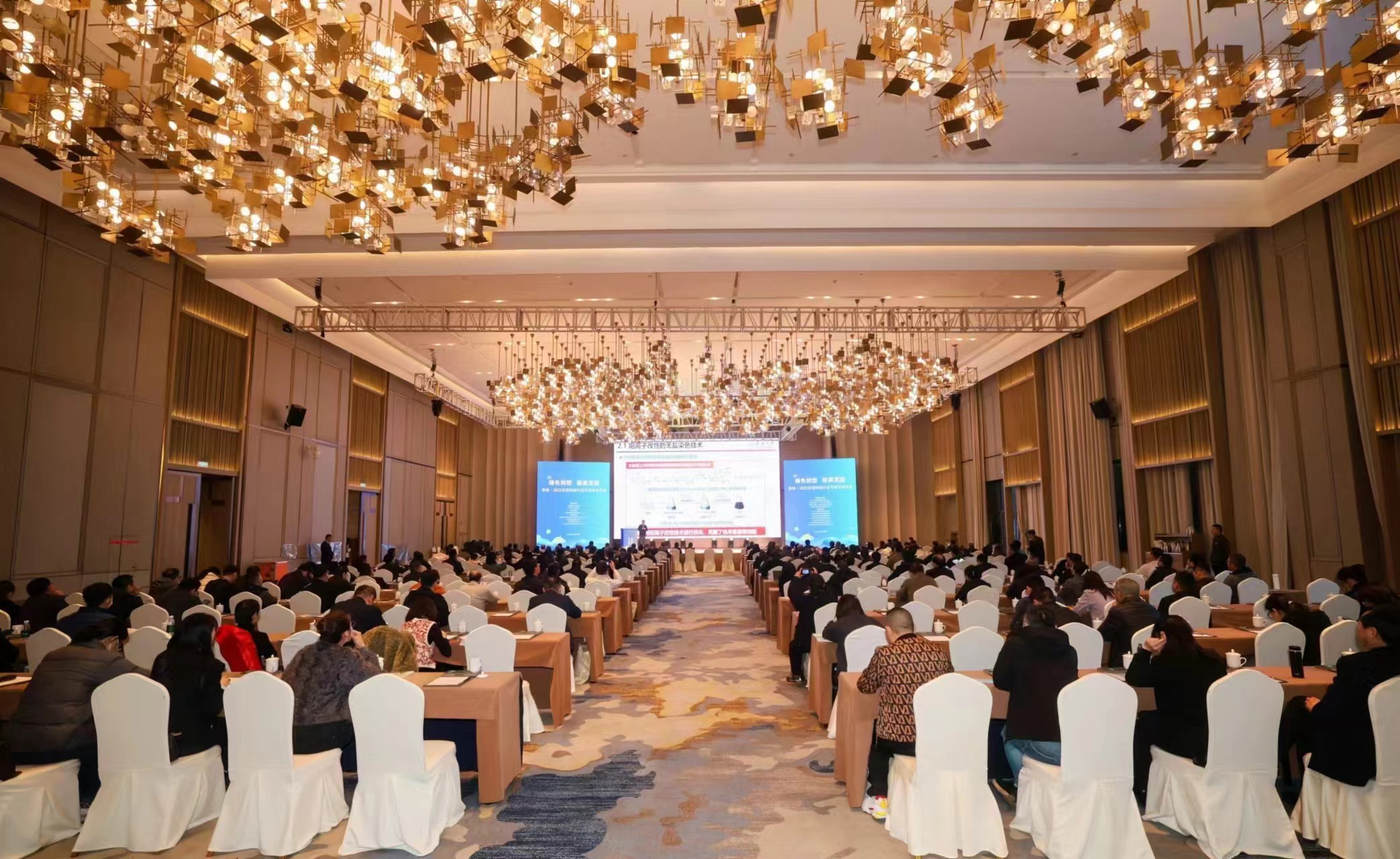 1744267593575040609.jpg 1.jpg